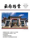 云南档案