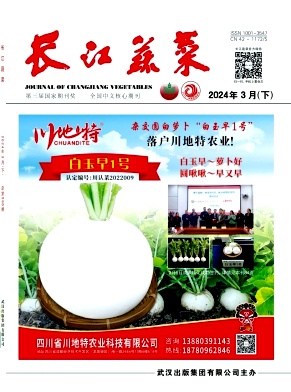 长江蔬菜