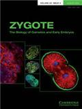 Zygote《合子：配子和早期胚胎生物学》