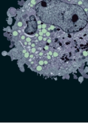 Annual Review of Cancer Biology《癌症生物学年评》