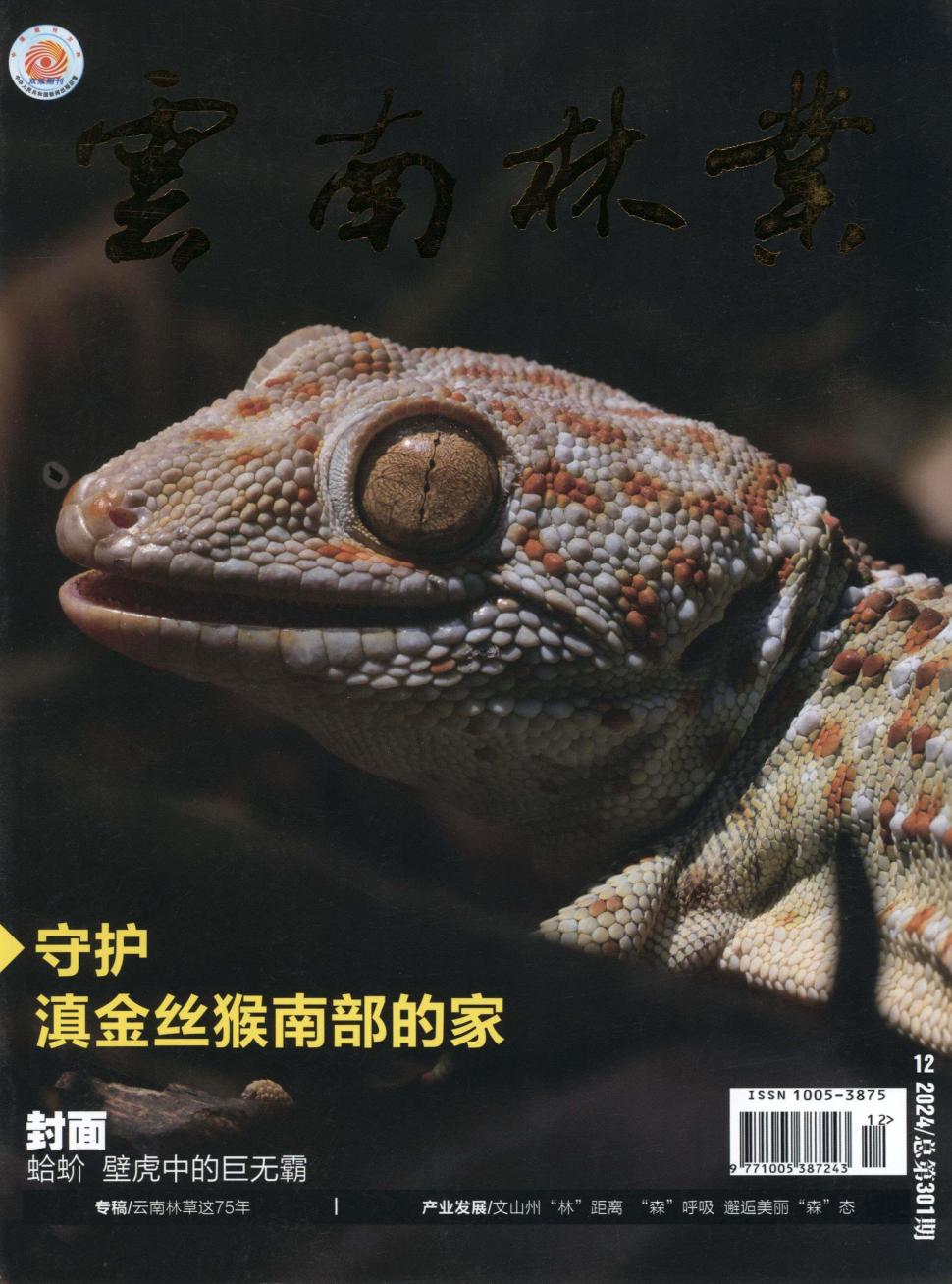 云南林业