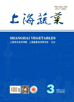 上海蔬菜