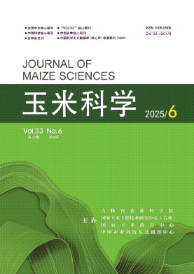 玉米科学