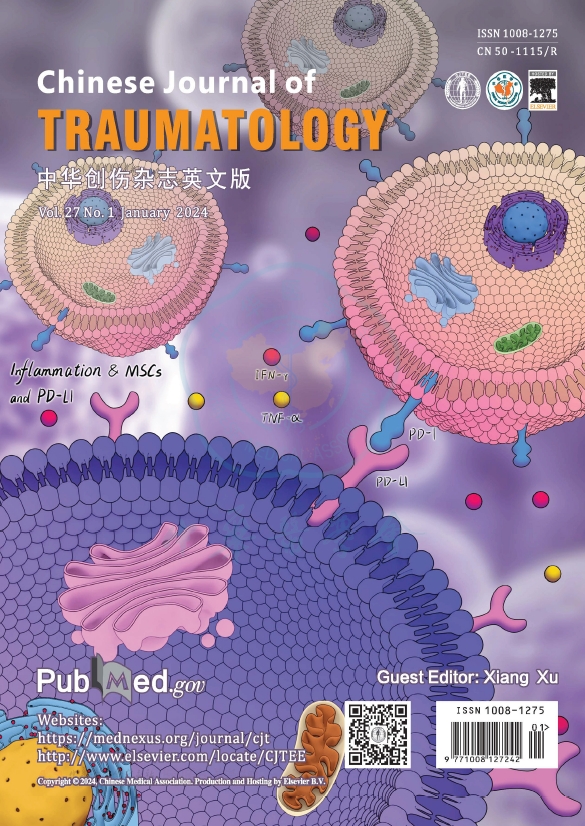 中华创伤杂志(英文版)(Chinese Journal of Traumatology)