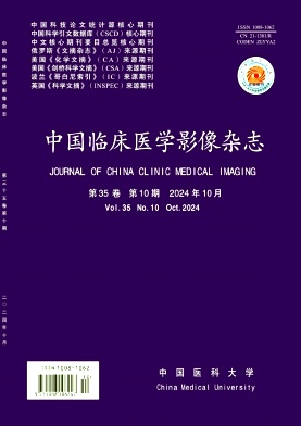  中国临床医学影像杂志（原：临床医学影像杂志）