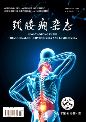 颈腰痛杂志