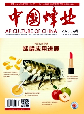 中国蜂业