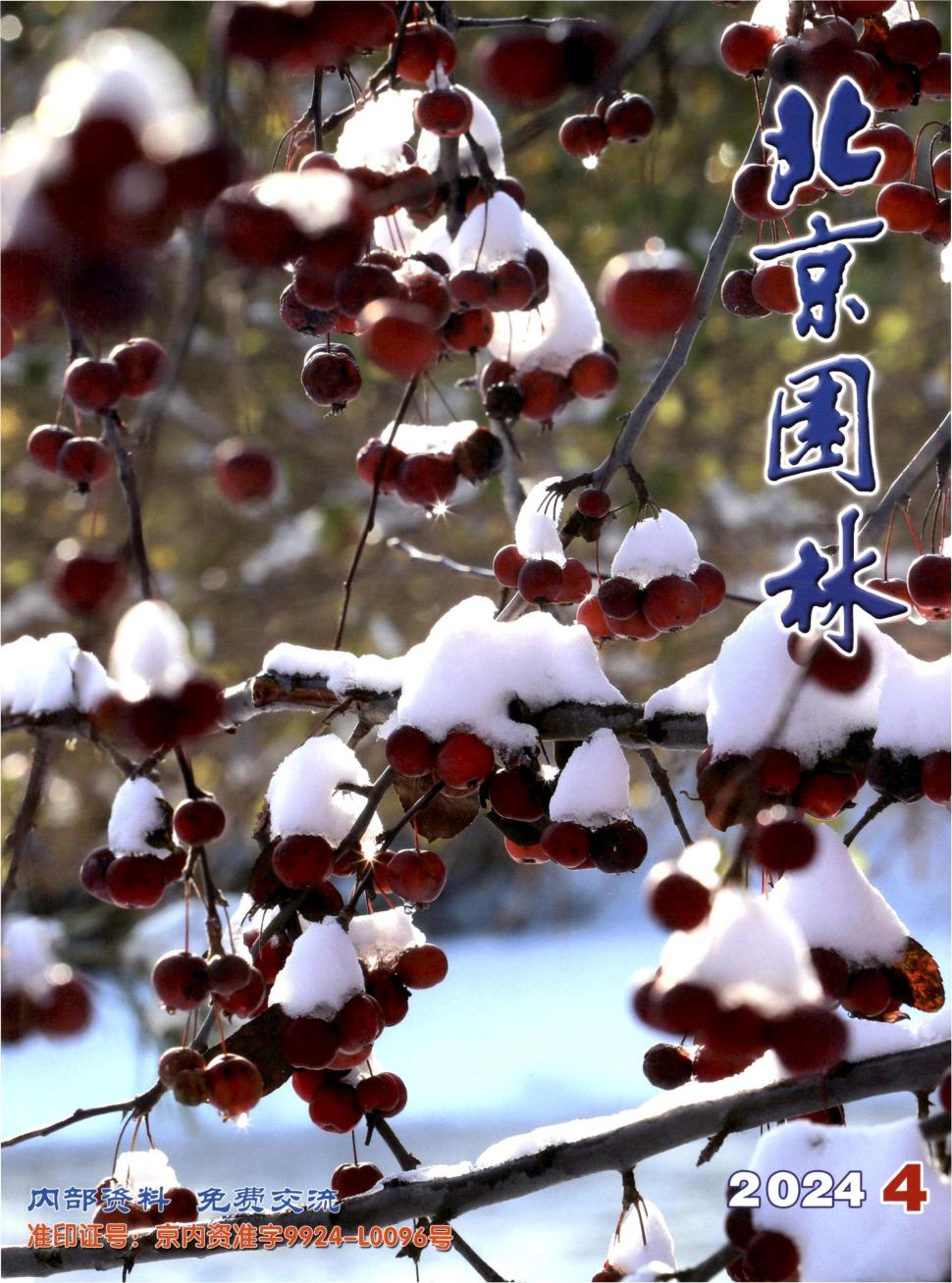 北京园林（内刊）