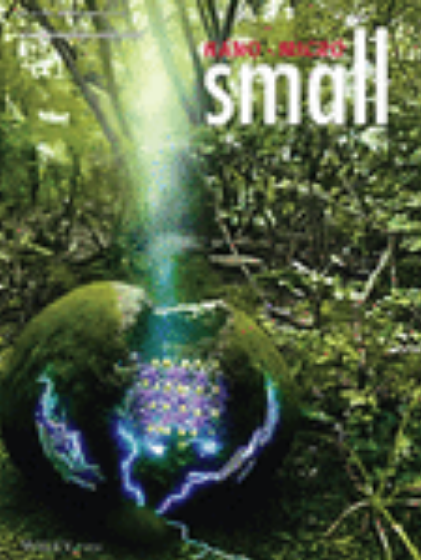 Small《微尺度》