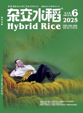 杂交水稻