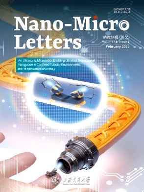 纳微快报（英文）（Nano-Micro Letters）
