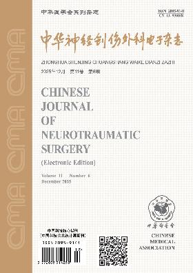 中华神经创伤外科电子杂志