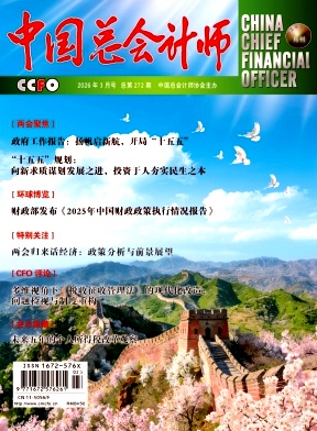 中国总会计师
