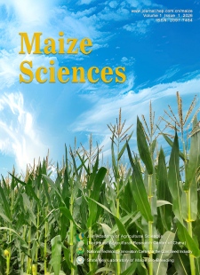 玉米科学（英文）（Maize Sciences）（国际刊号）（OA期刊）（创刊前三年不收版面费审稿费）