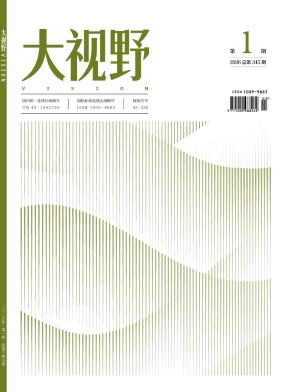 大视野（不收版面费审稿费）