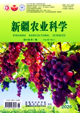 新疆农业科学