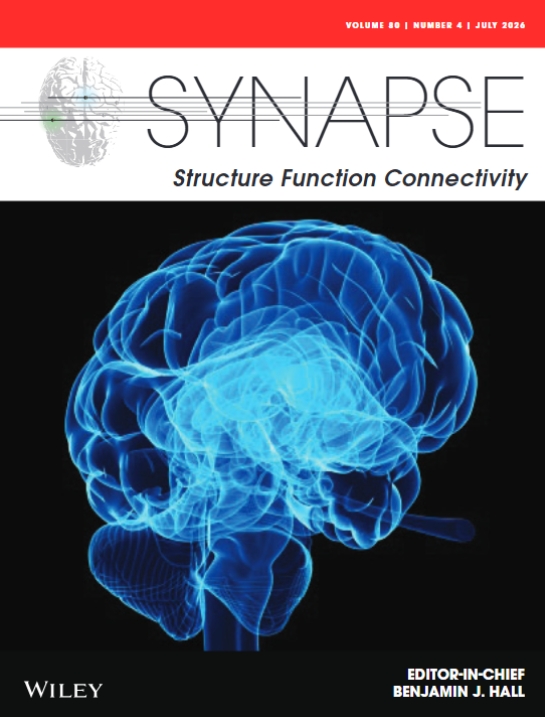 Synapse-Structure Function Connectivity《突触-结构功能连接》（原：Synapse）