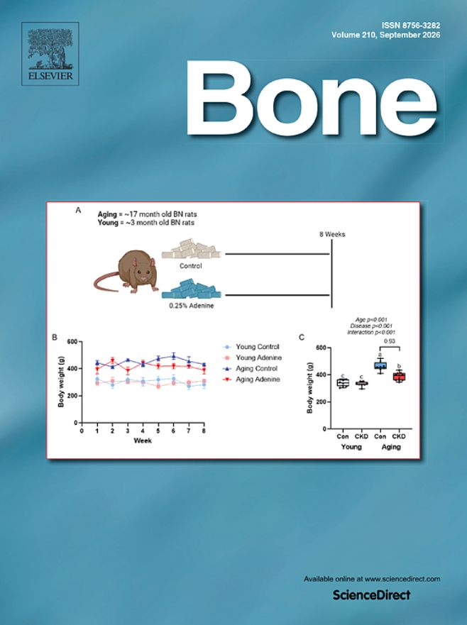 Bone《骨》