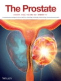 The Prostate《前列腺》