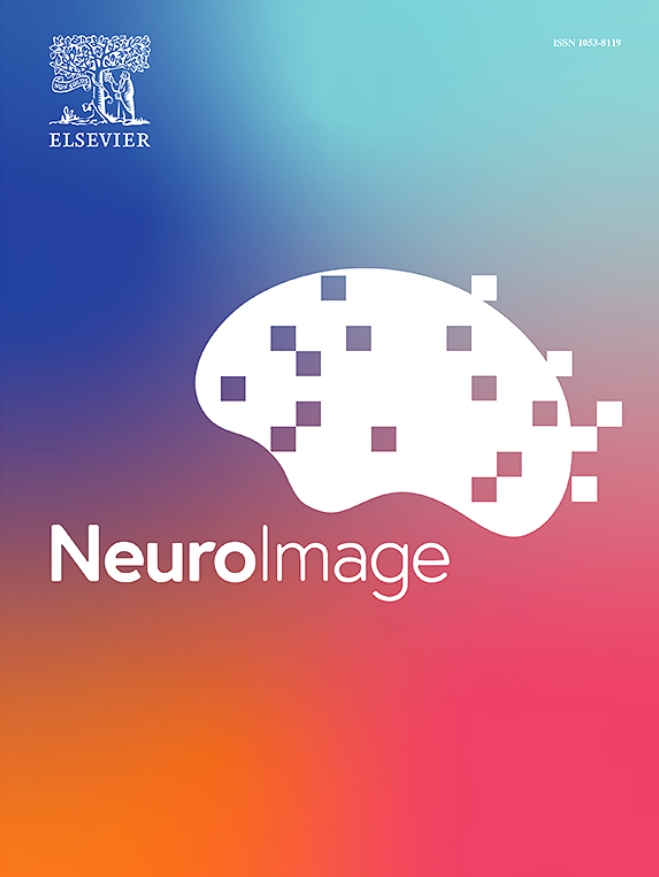Neuroimage《神经影像》