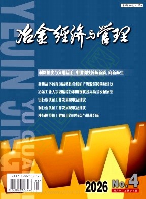 冶金经济与管理