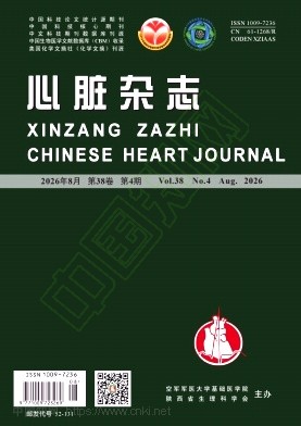心脏杂志