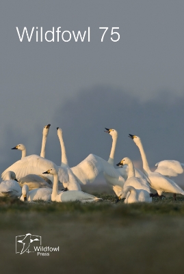 Wildfowl《野禽》