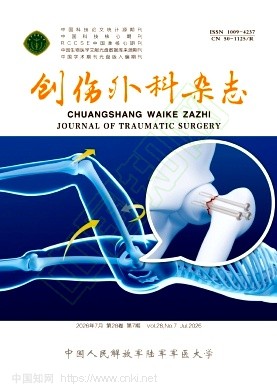 创伤外科杂志（不收版面费审稿费）