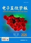 电子显微学报