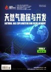 天然气勘探与开发（不收版面费审稿费）