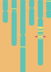 Annual Review of Genetics《遗传学年评》