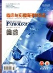 临床与实验病理学杂志
