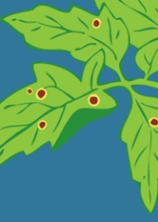 Annual Review of Phytopathology《植物病理学年评》
