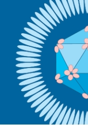 Annual Review of Virology《病毒学年评》